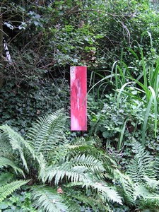P9020021.JPG