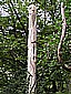 P9020026.JPG