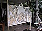 P9020030.JPG